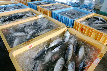 В водоемах на территории Волгоградской области поймали 2800 тонн рыбы