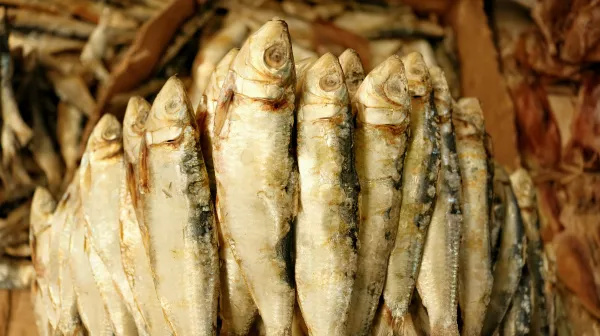 В Ростовской области мониторинг ФГИС «Меркурий» позволил установить факт ввода в оборот более 2 тонн вяленой рыбы неизвестного происхождения